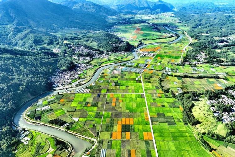 解码生态振兴密码 绘就绿色发展新图景